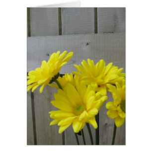 Cartão Margaridas ao longo da cerca