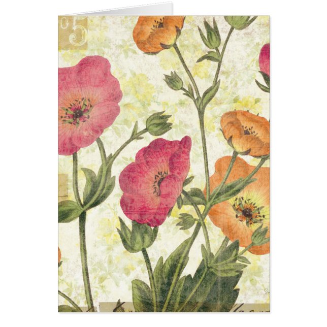 Cartão Margaridas coloridas (Frente)