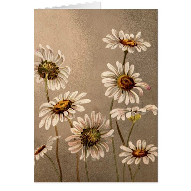 Cartão Margaridas do Victorian (Frente)