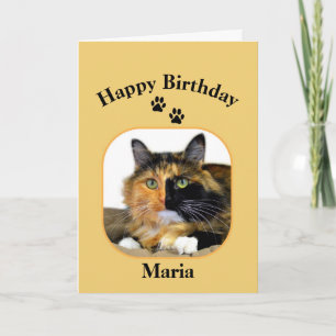 Cartão Maria Calico Cat Happy Birthday