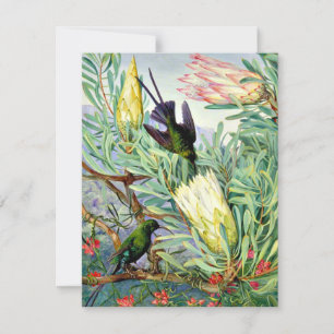 Cartão Marianne North - Flores de mel e sugadores de mel