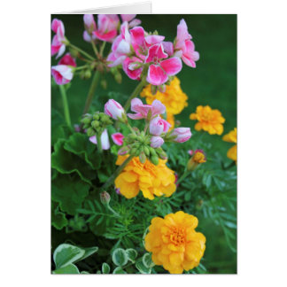 Cartão Marigolds e Geranium