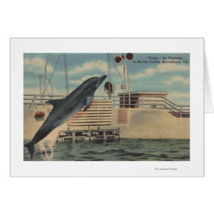 Cartão Marineland, Florida - vista do Pudgy
