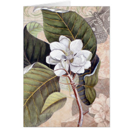 Cartão Mark Catesby Magnolia Vintage Elegance
