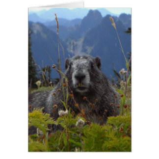 Cartão Marmota no Paraíso no Monte Rainier National Par