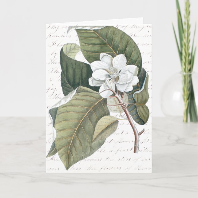Cartão Marque a colagem da magnólia de Catesby com ensaio (Frente)