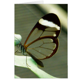 Cartão Marrom atordoante e borboleta translúcida