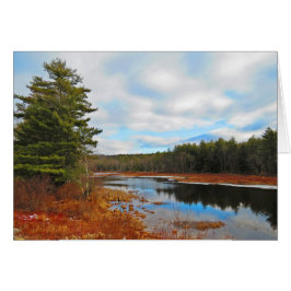 Cartão Marsh Stream