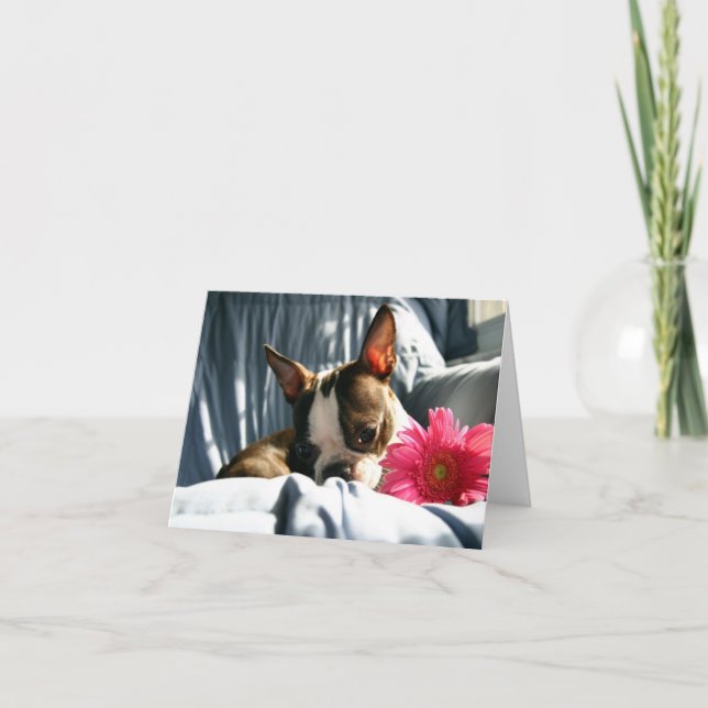 Cartão Martha e Gerber Daisy (Frente)