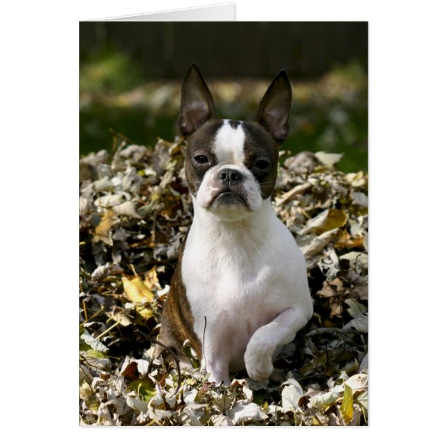 Cartão Martha Folha (Frente)