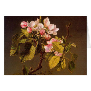 Cartão Martin Johnson Heade - flores de Apple