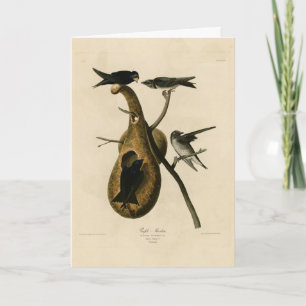 Cartão Martin Roxo das Aves da América de Audubon