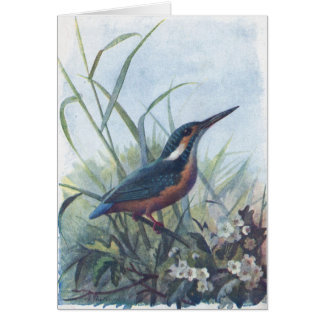 Cartão martinho pescatore