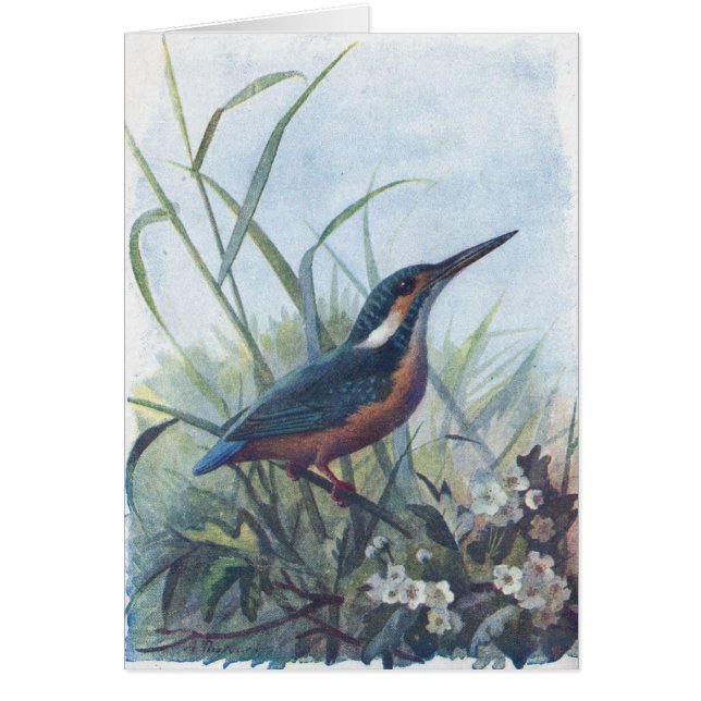 Cartão martinho pescatore (Frente)