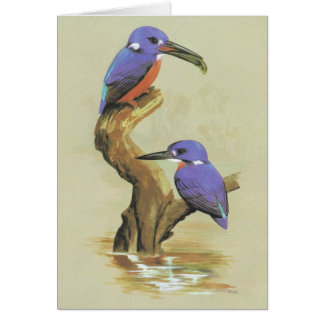 Cartão Martinho pescatore Azure - azureus de Ceyx