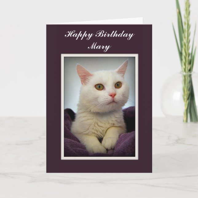 Cartão Mary Happy Birthday White Cat Card (Frente)