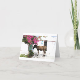 Cartão mascote Opa do asno de GreekIslandHouse.com!