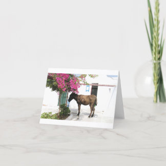 Cartão mascote Opa do asno de GreekIslandHouse.com!