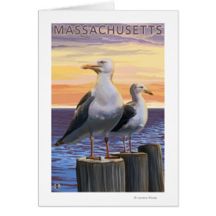 Cartão Massachusetts Sea Gulls Scene