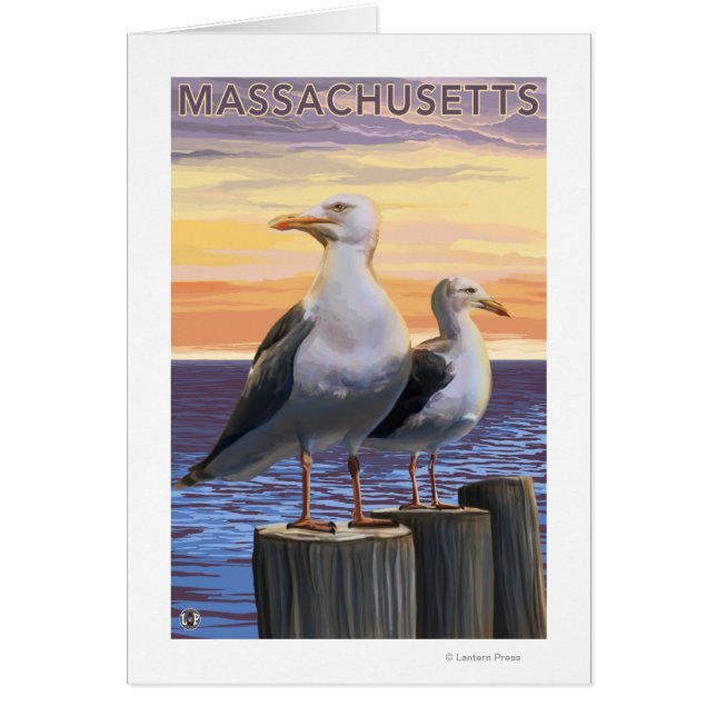 Cartão Massachusetts Sea Gulls Scene (Frente)