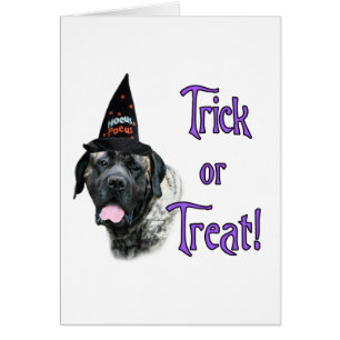 Cartão Mastiff (brindle) Trick
