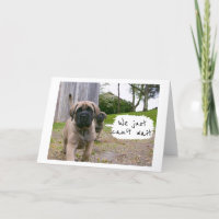 MASTIFF NÃO PODE ESPERAR PARA DIZER *ANIVERSÁRIO F