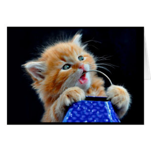 Cartão Mastigação bonito do gatinho