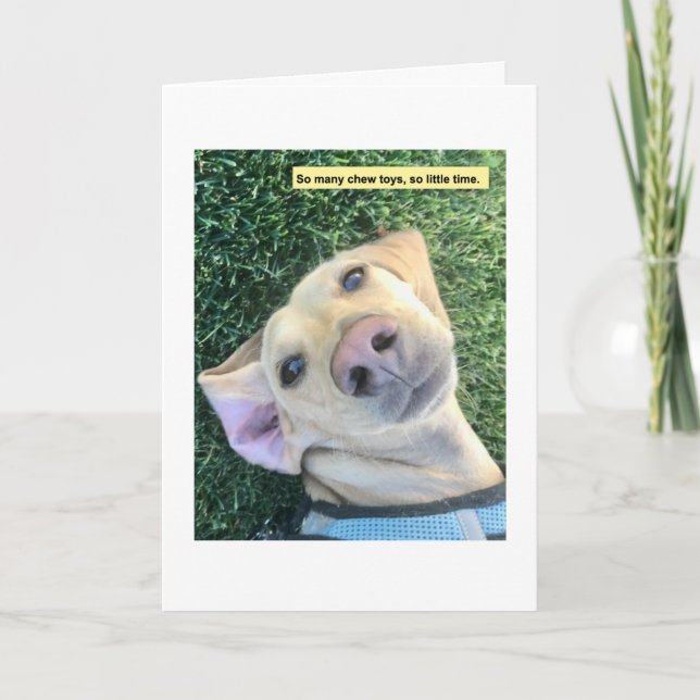 Cartão Mastigar Brinquedos MillieGram (Frente)