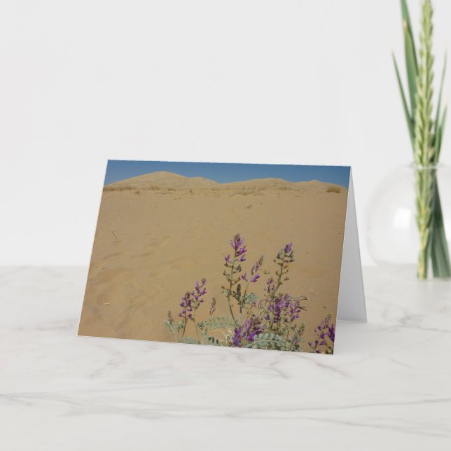 Cartão Mato de Índigo de Mojave e Dunas de Kelso (Frente)