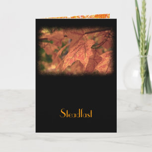 Cartão Matthew 24:35 Encorajamento