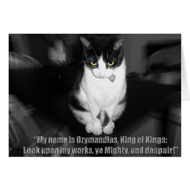 Cartão mau (Frente Horizontal)