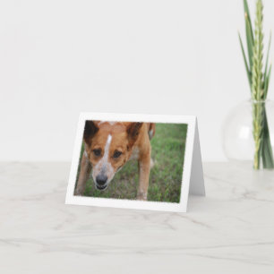 Cartão Maudie the Cow Dog Note Card