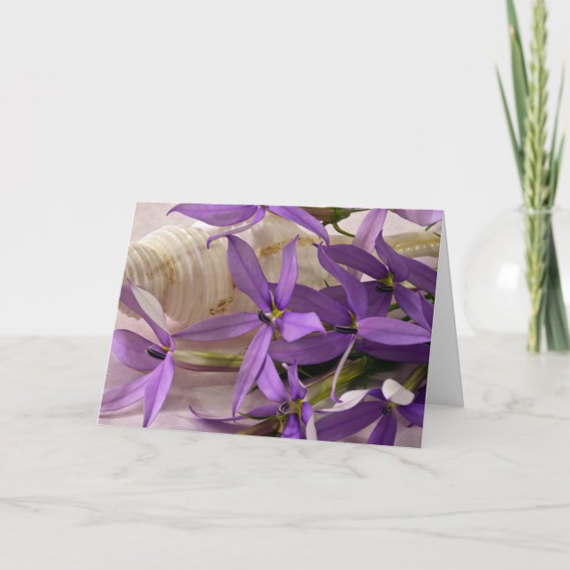 Cartão Mauve Starshine Laurentia (Frente)