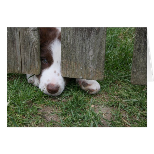 Cartão Máx. (Frente Horizontal)