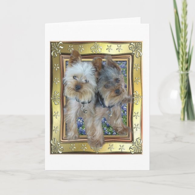 Cartão máximo e de Zach (Frente)