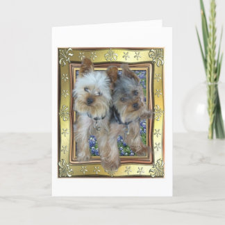 Cartão máximo e de Zach