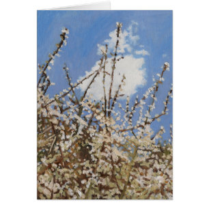 Cartão Mayflower 2012