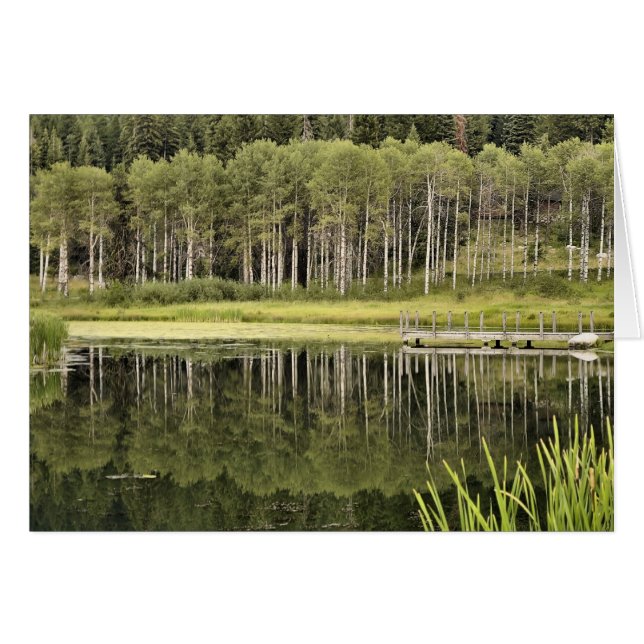 Cartão McCall Pond (Frente horizontal)