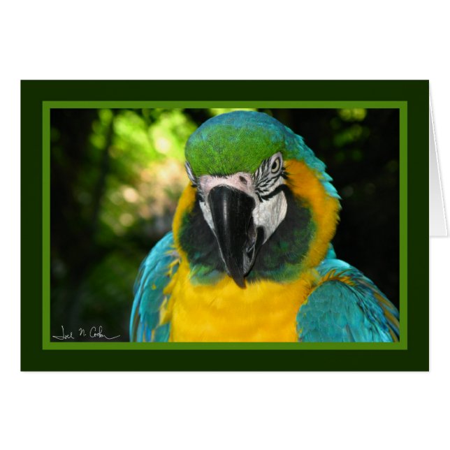 Cartão McCaw (Frente Horizontal)