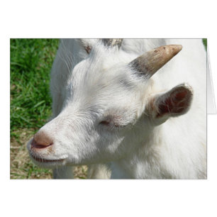 Cartão Me Traga Alguns Sombras