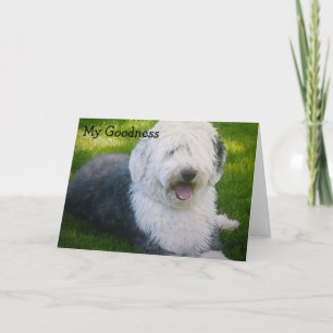 CARTÃO "ME TWEET ALGUMA VEZ" DESEJOS DE ANIVERSÁRIO