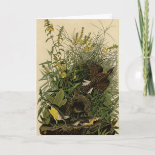 Cartão Meadow Lark do Pássaros da América de Audubon