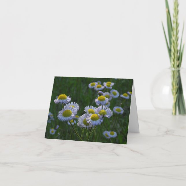 Cartão Meadow Wildflower Note Card (Frente)
