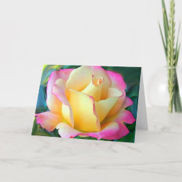 Cartão Meditação Em Um Rosa
