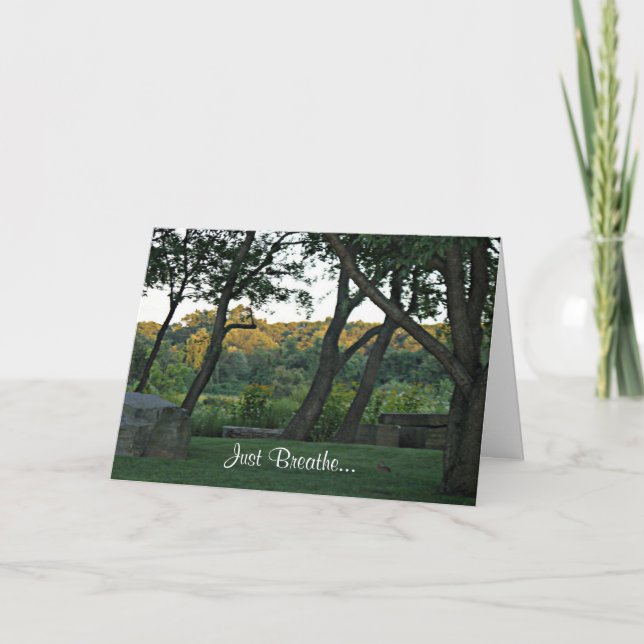 Cartão Meditação no prado (Frente)