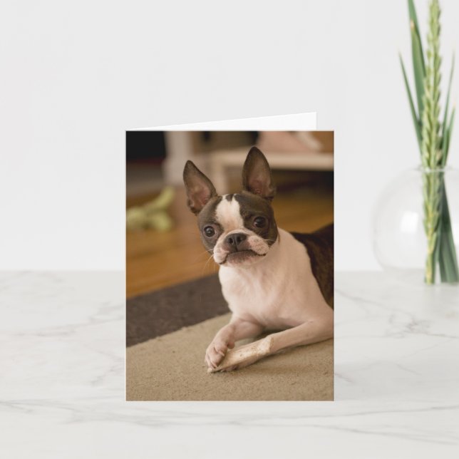 Cartão medula_óssea (Frente)