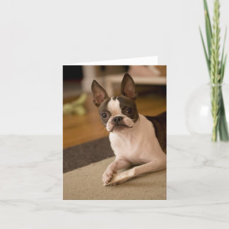 Cartão medula_óssea