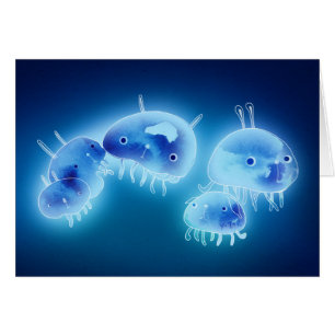 Cartão Medusas 2013