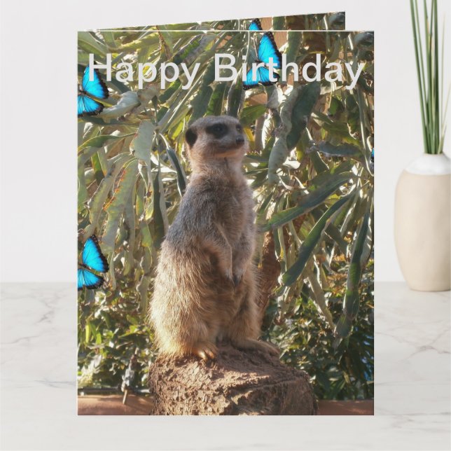 Cartão Meerkat Blue Butterflies, Jumbo Birthday Card. (Frente)