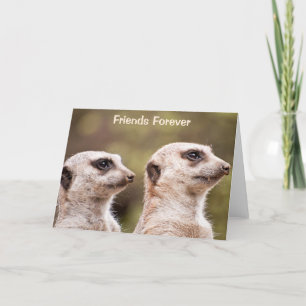 Cartão Meerkat Friends Forever Personalized